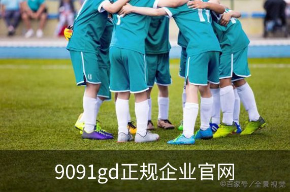 9091gd正规企业官网概况